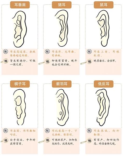 耳珠朝口 面相|面相快速入門基礎：「耳相」入門基礎秘技（建議收。